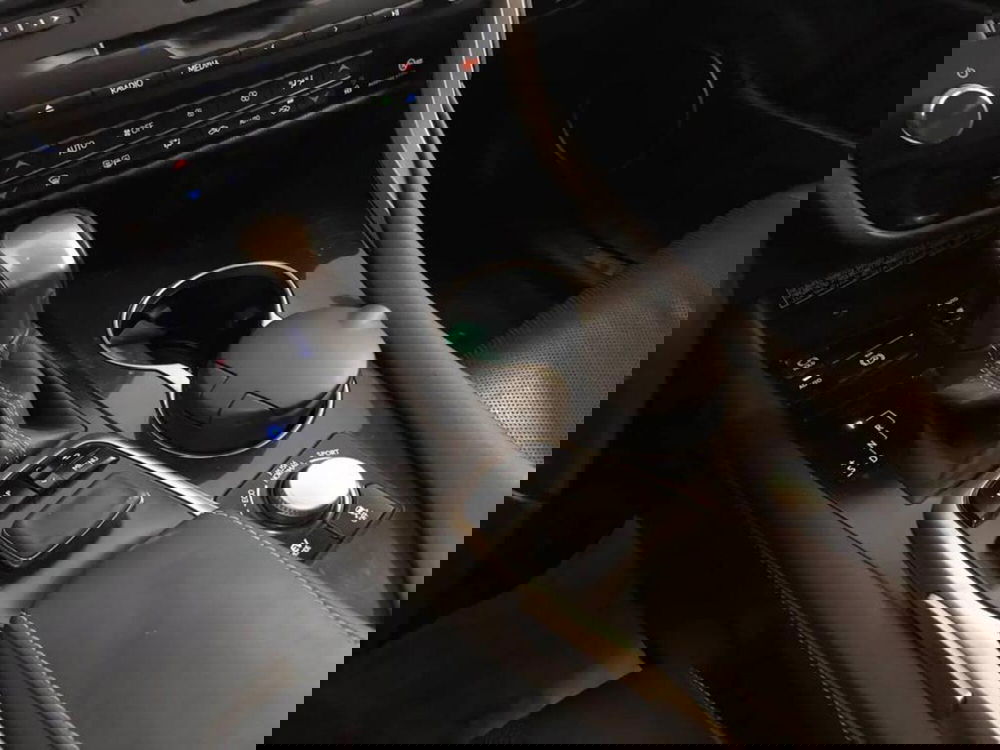 Lexus RX usata a Torino (13)