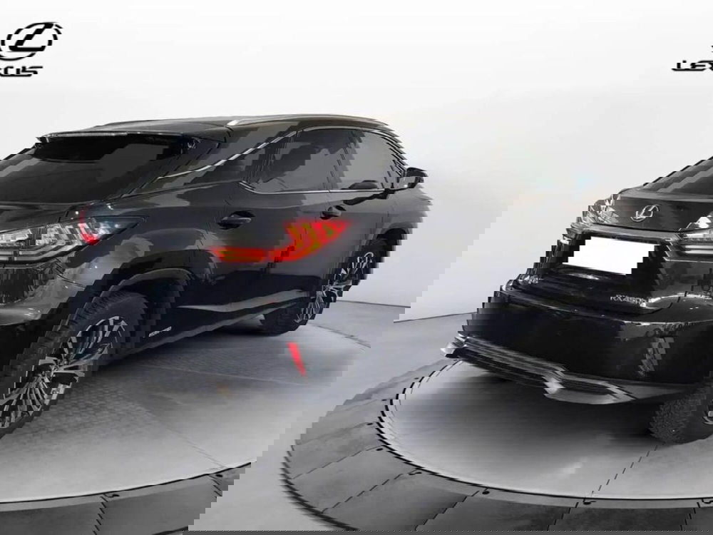 Lexus RX usata a Torino (3)