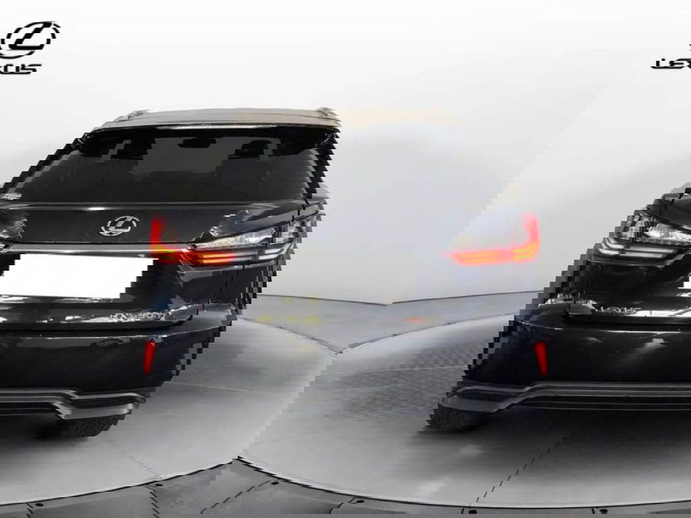 Lexus RX usata a Torino (6)