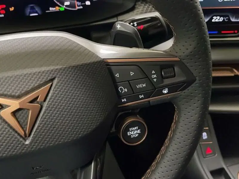 Cupra Terramar nuova a Vicenza (15)