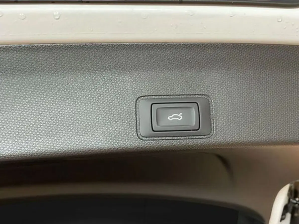 Cupra Terramar nuova a Vicenza (18)