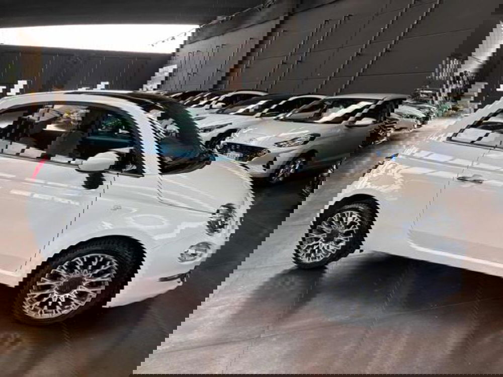 Fiat 500 usata a Pesaro-Urbino (6)