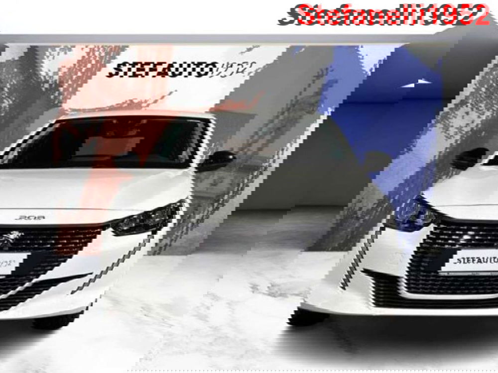 Peugeot 208 usata a Bologna (2)
