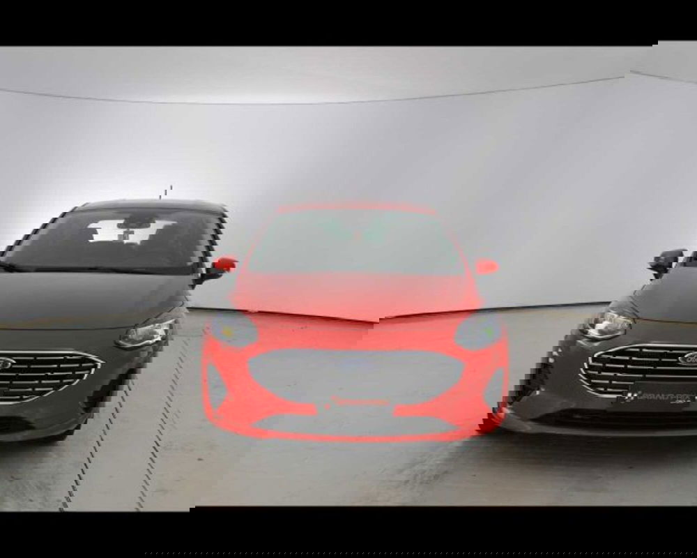 Ford Fiesta usata a Bologna (2)