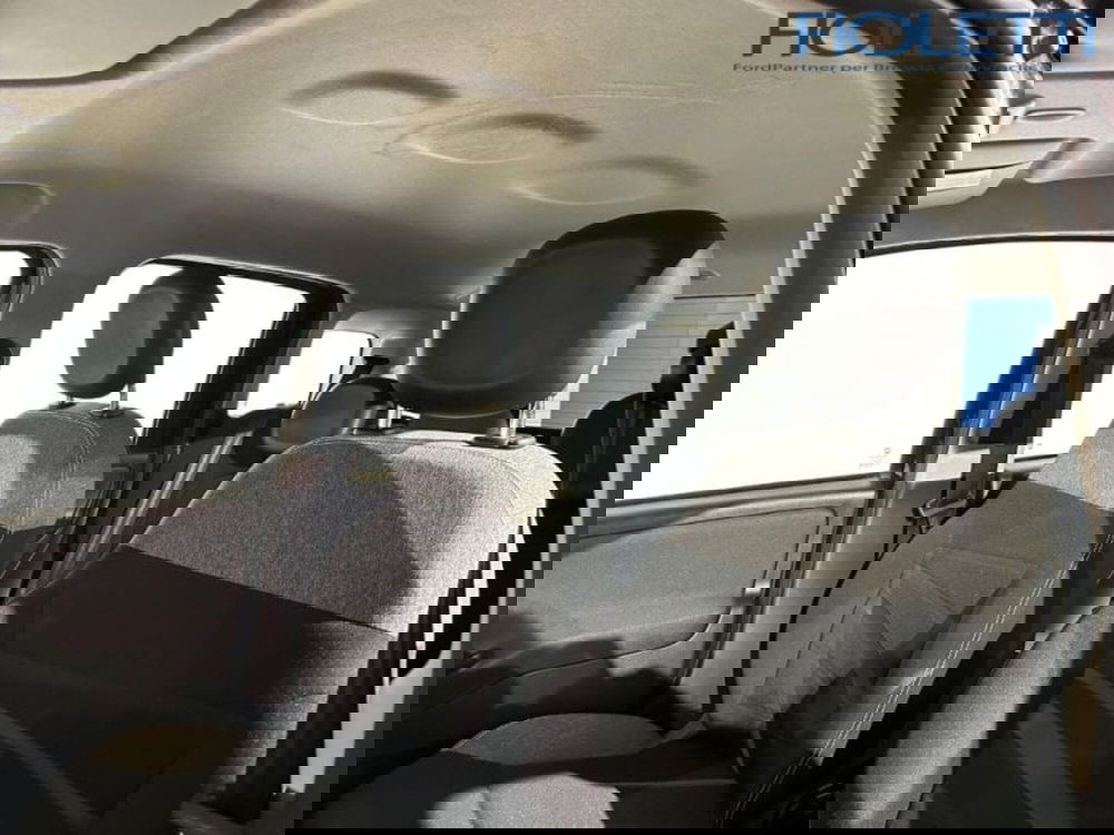 Fiat Panda Cross usata a Brescia (12)