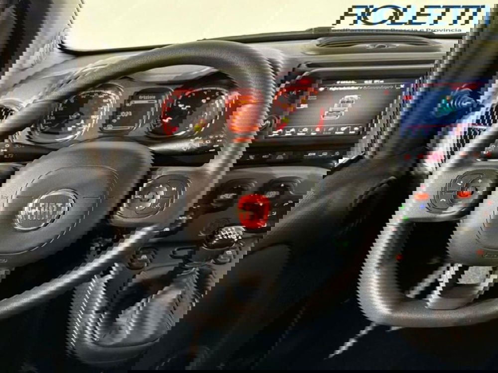 Fiat Panda Cross usata a Brescia (7)