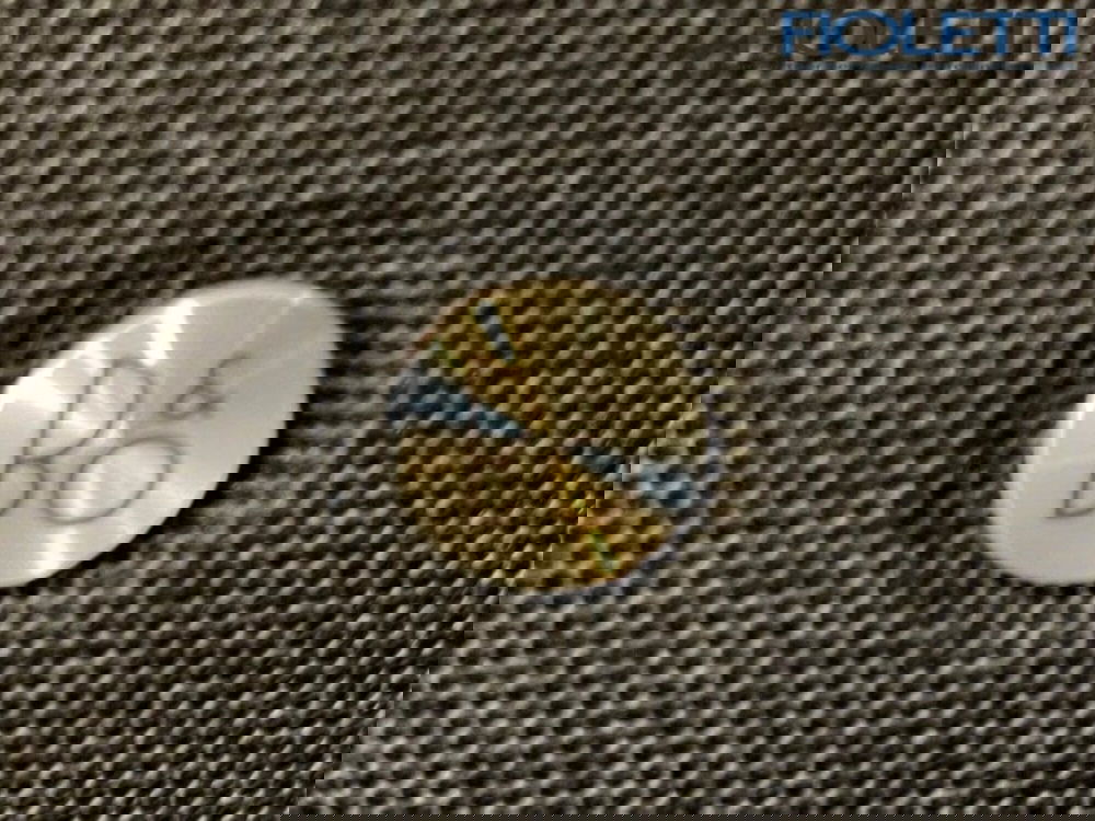 Ford Mustang Mach-E nuova a Brescia (12)