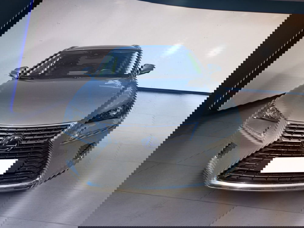 Lexus NX usata a Torino