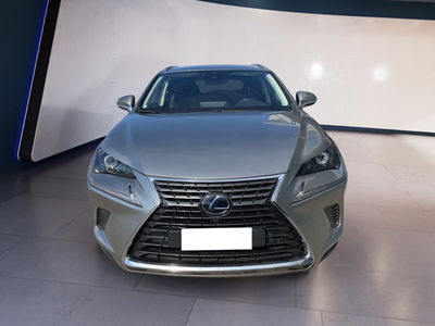 Lexus NX Hybrid 4WD Executive del 2019 usata a Torino
