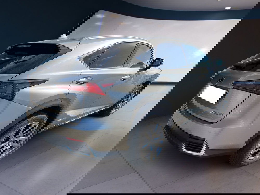 Lexus NX usata a Torino (4)