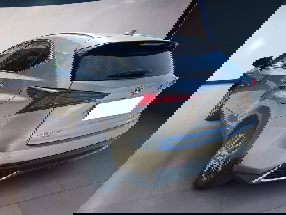 Lexus NX usata a Torino (5)