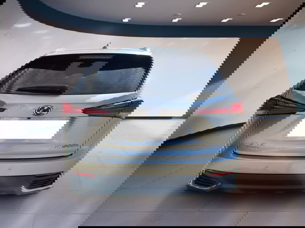 Lexus NX usata a Torino (6)