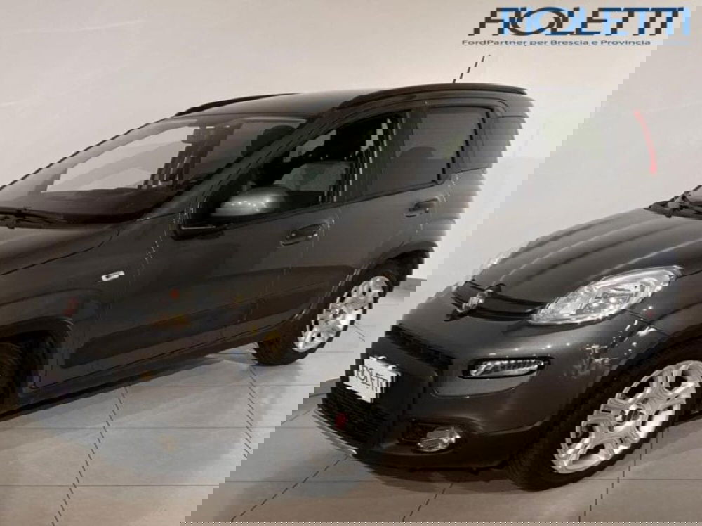 Fiat Panda Cross usata a Brescia