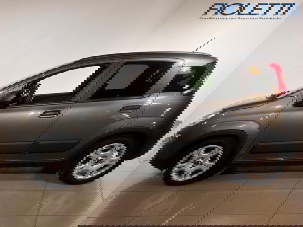 Fiat Panda Cross usata a Brescia (4)
