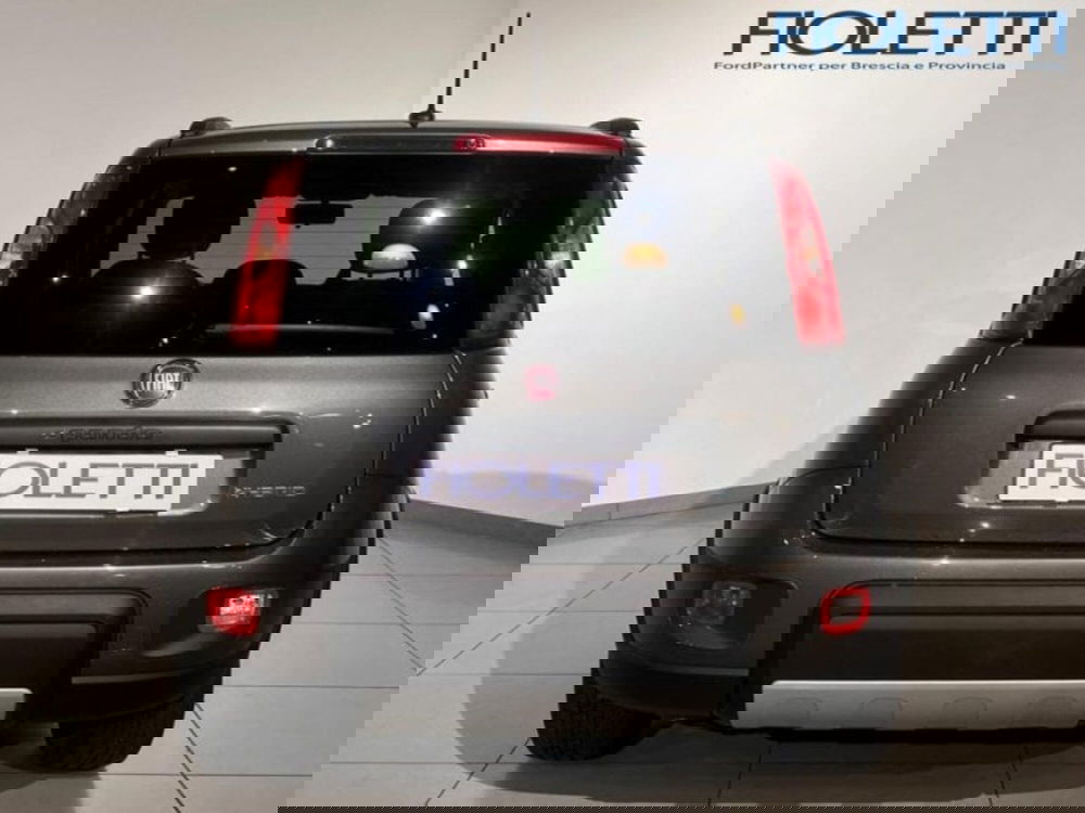 Fiat Panda Cross usata a Brescia (5)