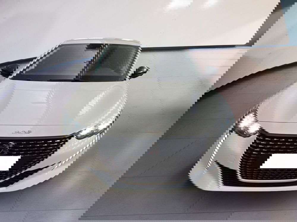 Peugeot 208 usata a Torino