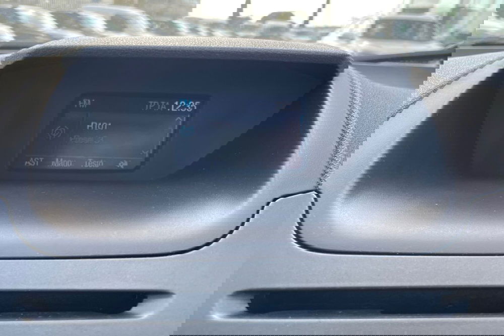 Ford EcoSport usata a Siena (16)