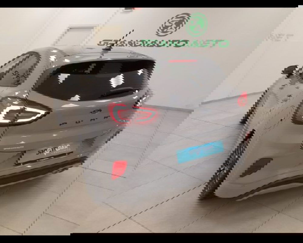 Ford Puma usata a Alessandria (3)