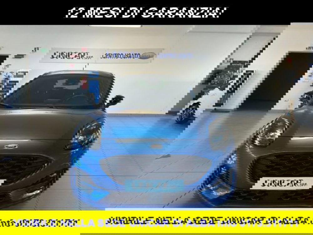 Ford Puma usata a Cuneo (2)