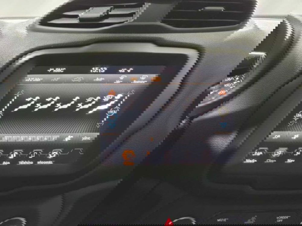 Jeep Renegade usata a Sondrio (19)