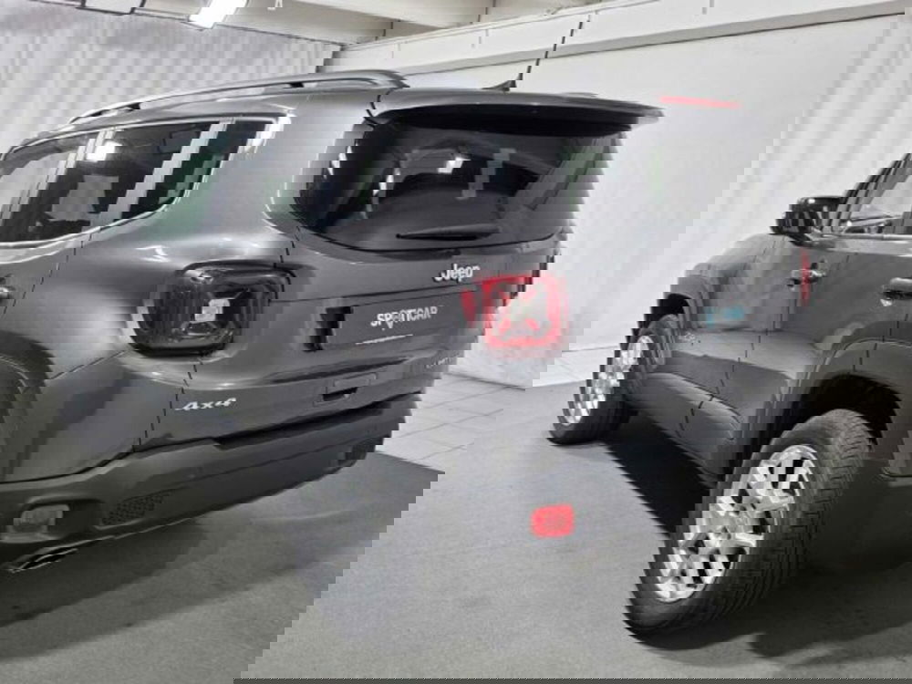 Jeep Renegade usata a Sondrio (2)