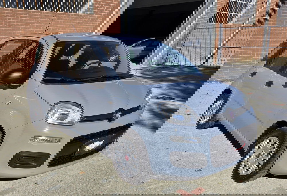 Fiat Panda usata a Torino (2)