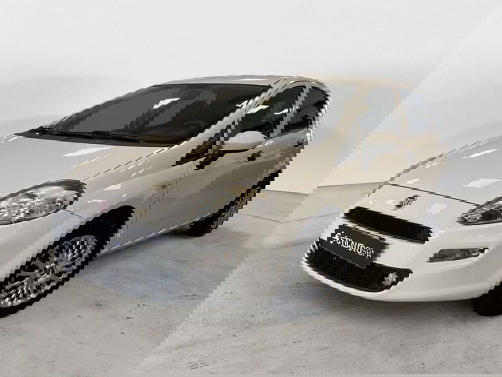Fiat Punto usata a Prato