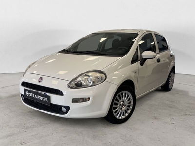 Fiat Punto 1.2 8V 5 porte Street del 2016 usata a Prato