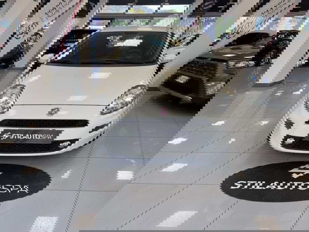 Fiat Punto usata a Prato (2)