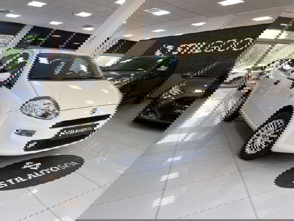 Fiat Punto usata a Prato (3)