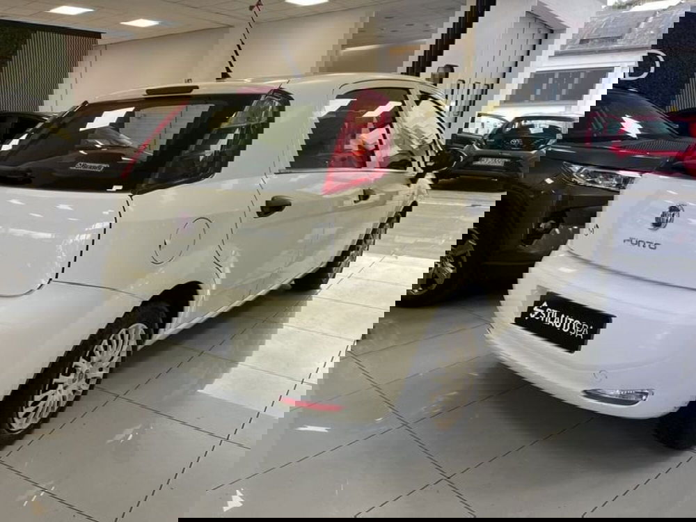 Fiat Punto usata a Prato (4)