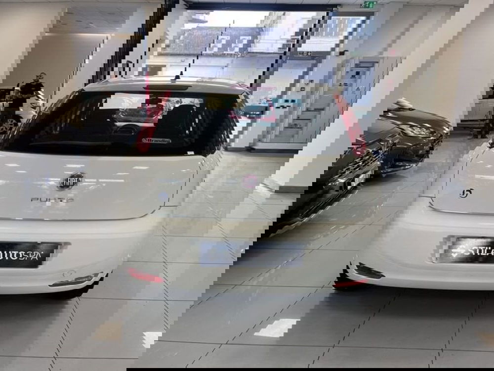 Fiat Punto usata a Prato (5)