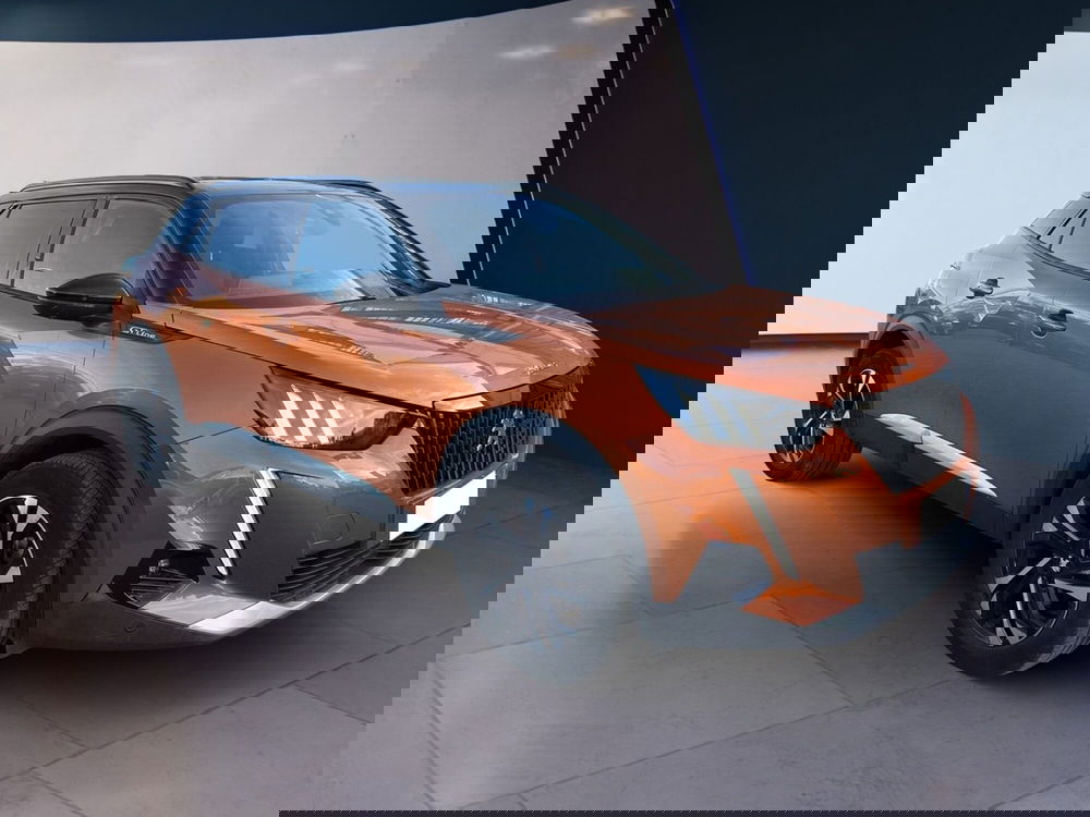 Peugeot 2008 usata a Torino (3)