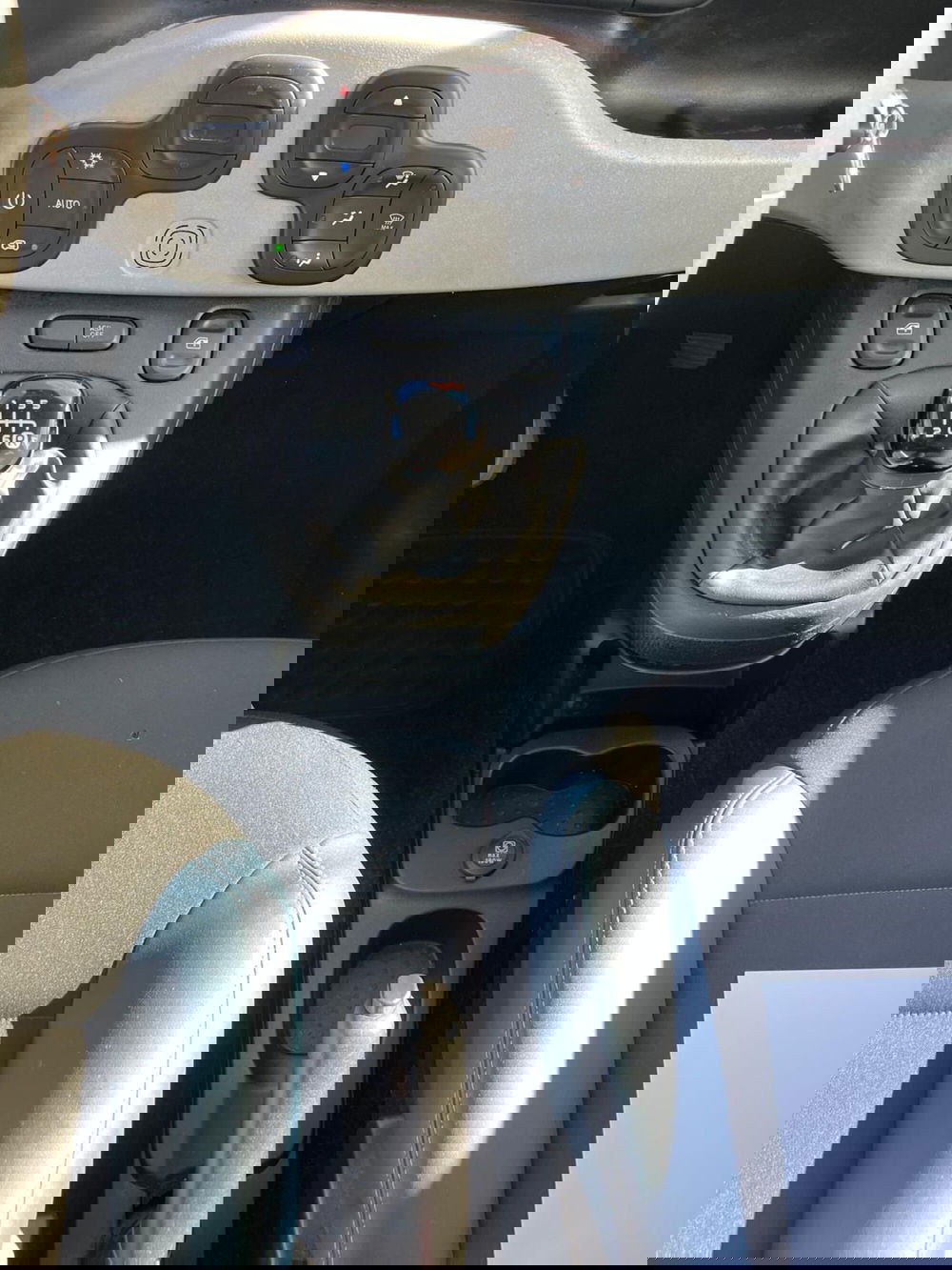 Fiat Panda Cross usata a Milano (17)