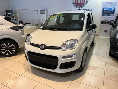 Fiat Panda Cross Cross 1.0 FireFly S&amp;S Hybrid nuova a Milano