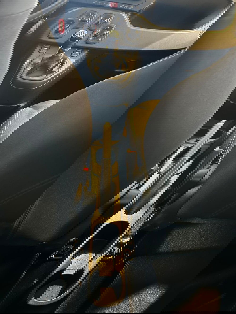 Fiat Panda Cross nuova a Milano (18)