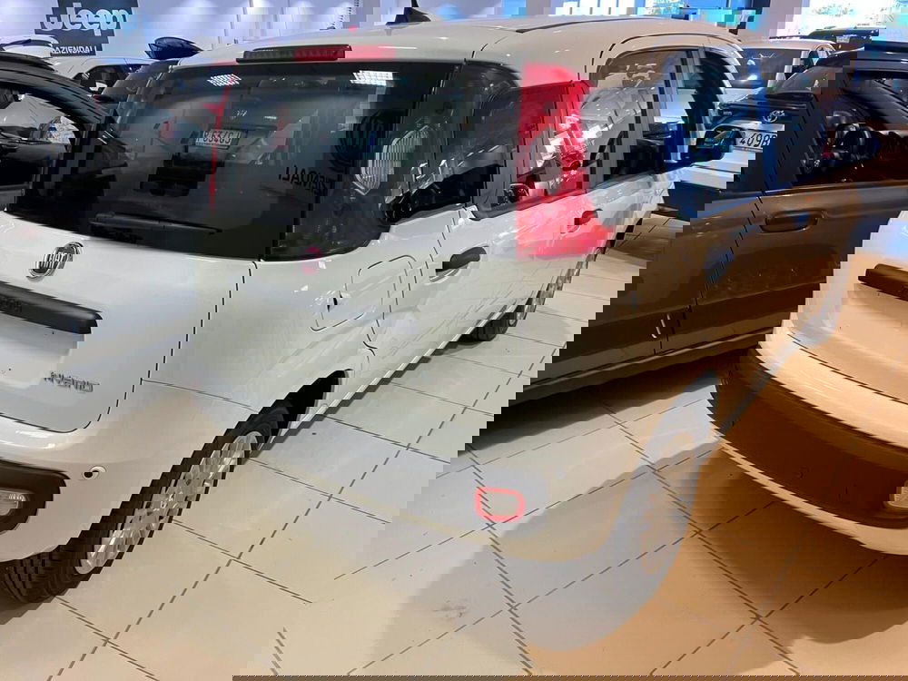 Fiat Panda Cross nuova a Milano (6)