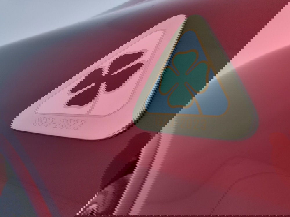 Alfa Romeo Stelvio usata a Caserta (13)