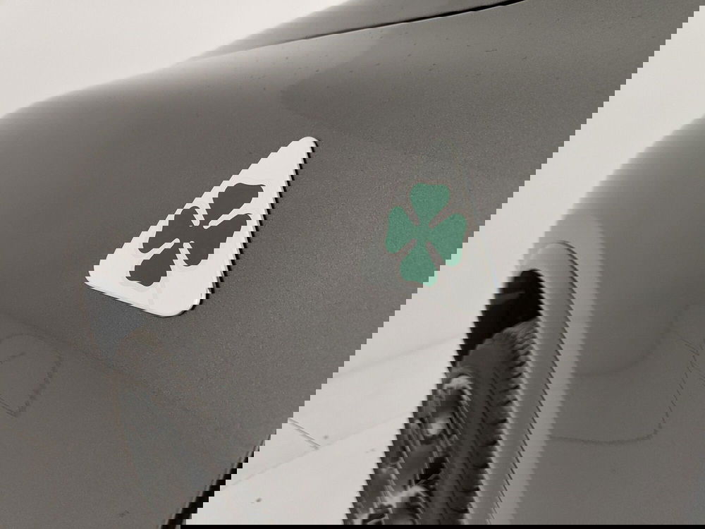 Alfa Romeo Stelvio usata a Caserta (14)