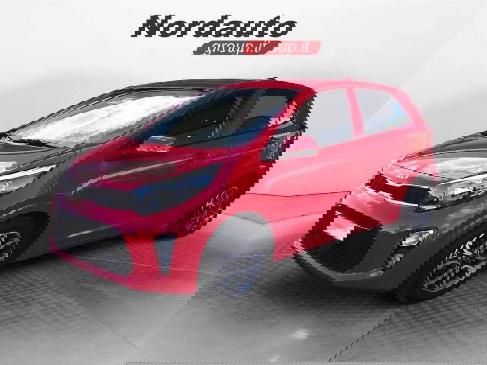 Kia Picanto usata a Treviso