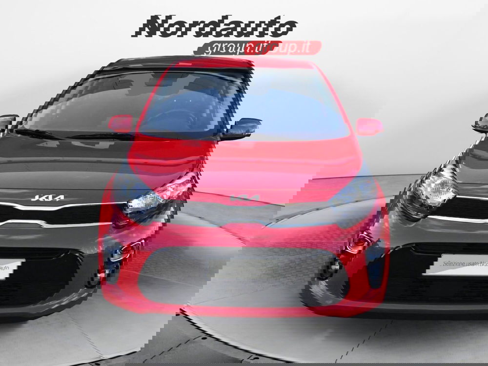 Kia Picanto usata a Treviso (2)