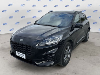 Ford Kuga 2.0 EcoBlue 120CV aut. AWD ST-Line X del 2023 usata a Pistoia