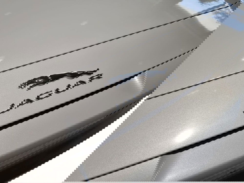 Jaguar F-Type Cabrio usata a Pistoia (6)