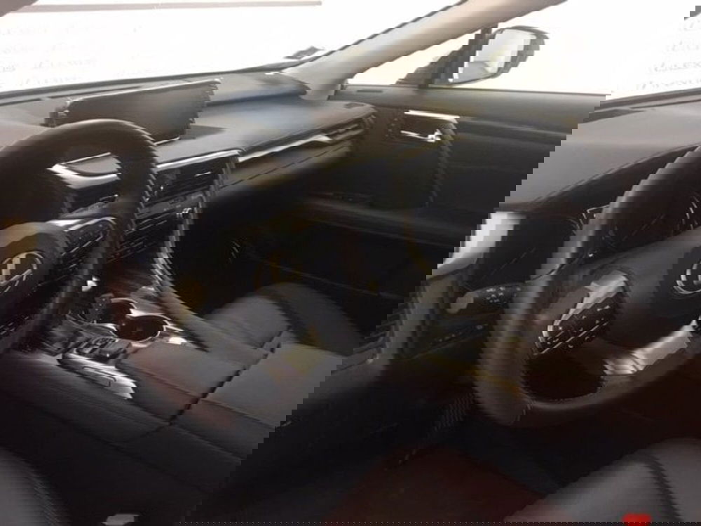 Lexus RX usata a Cremona (10)
