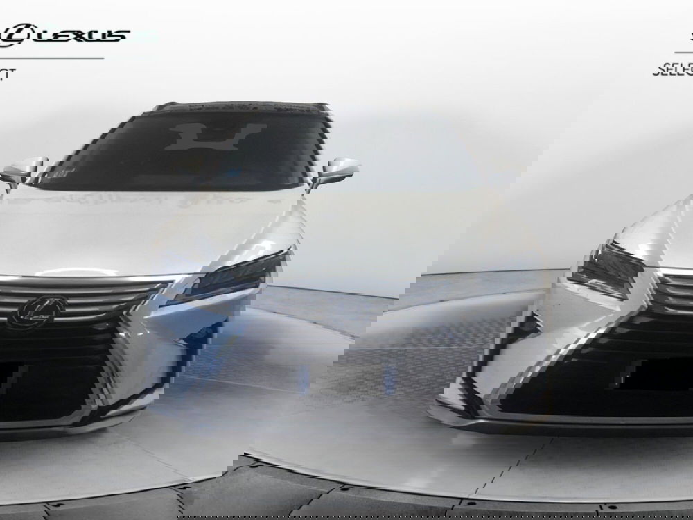 Lexus RX usata a Cremona (3)