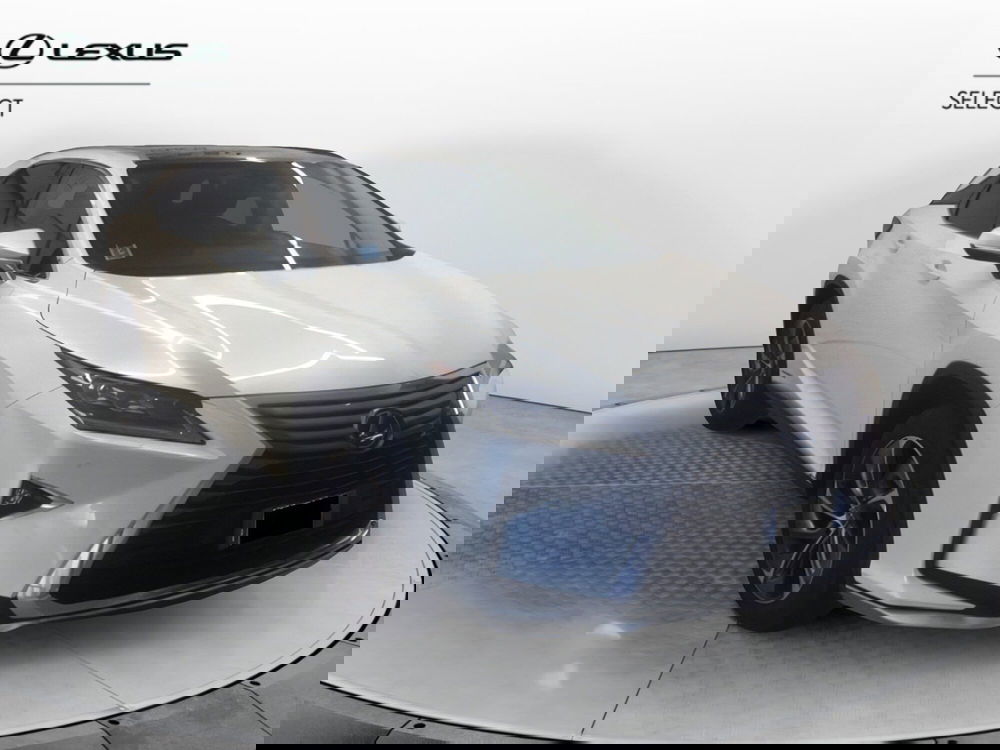 Lexus RX usata a Cremona (4)