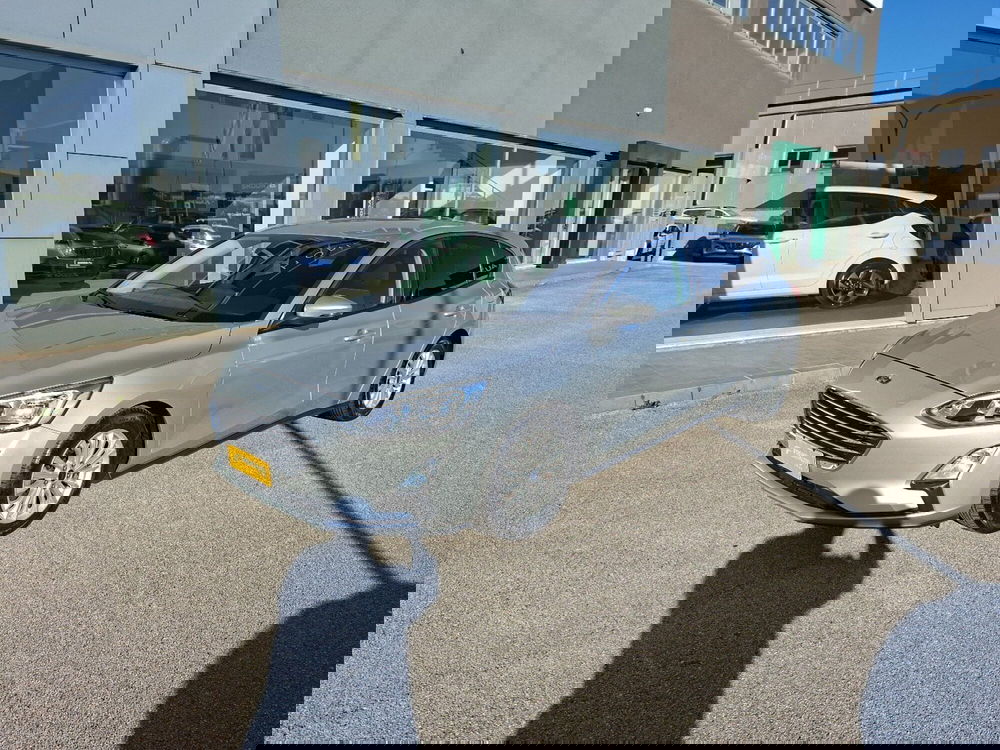 Ford Focus usata a Ancona