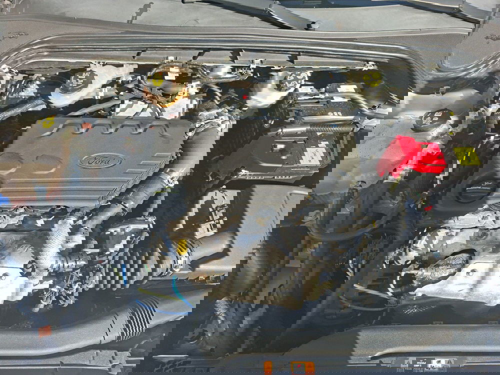 Ford Focus usata a Ancona (14)