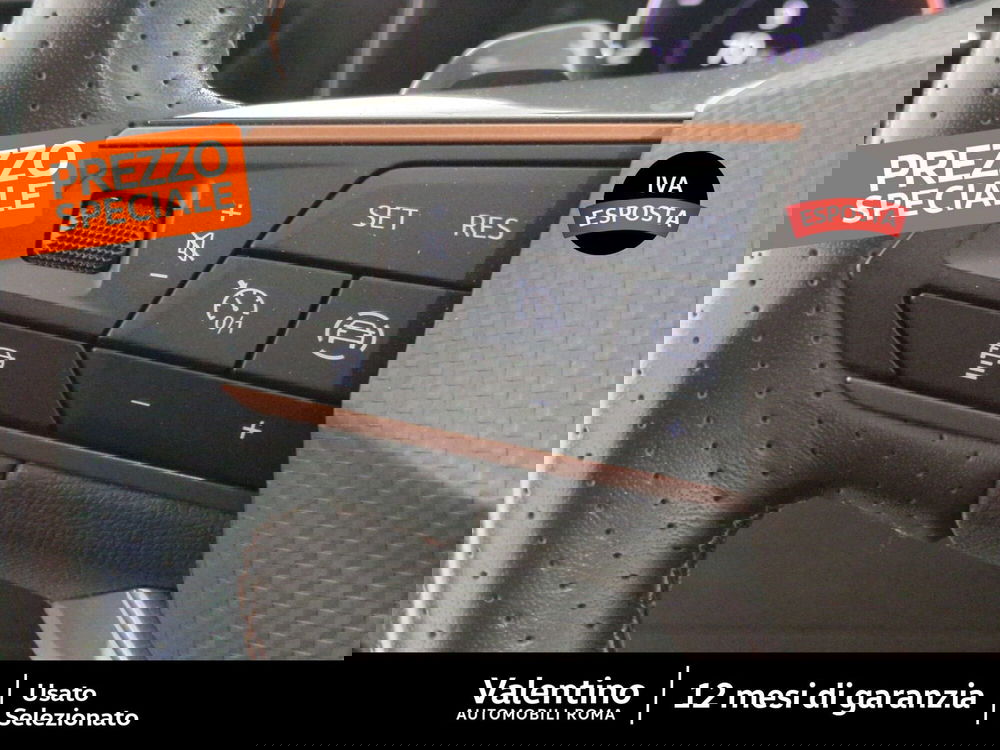 Cupra Formentor usata a Roma (15)