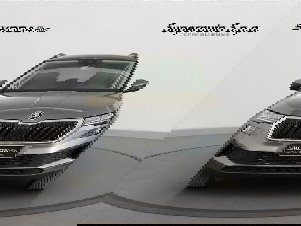 Skoda Karoq usata a Padova (2)